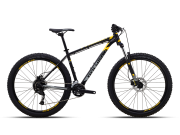 Polygon Premier 5 29 2023