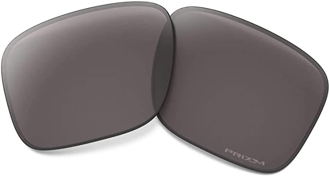 Oakley Holbrook Prizm Grey