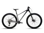 Polygon Xtrada 7 29 2024