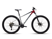 Polygon Xtrada 5 29 2023
