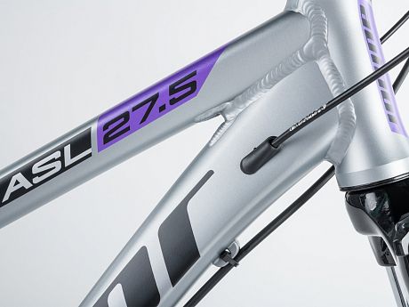 Купить Author Solution ASL 27,5 2025  в Санкт-Петербурге, доставка по России