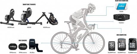 Фото Велокомпьютер Wahoo ELEMNT ROAM Bundle с пульсометром, датчиками скорости и каденса. Купить Велокомпьютер Wahoo ELEMNT ROAM Bundle с пульсометром, датчиками скорости и каденса  в Санкт-Петербурге, доставка по России