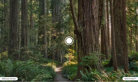 Фото Очки солнцезащитные Oakley Flight Jacket Matte Grey/Prizm Low Light. Купить Очки солнцезащитные Oakley Flight Jacket Matte Grey/Prizm Low Light  в Санкт-Петербурге, доставка по России