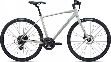 Купить Giant Escape Disc 2 2022  в Санкт-Петербурге, доставка по России