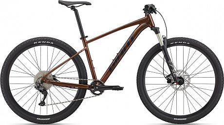 Купить Giant Talon 1 29  2022  в Санкт-Петербурге, доставка по России