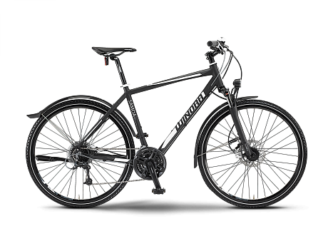 Купить Winora Samoa 2014  в Санкт-Петербурге, доставка по России