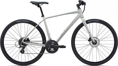 Купить Giant Escape 2 Disc 2021  в Санкт-Петербурге, доставка по России