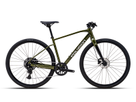 Polygon Path 4 2025