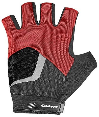 Фото Перчатки Giant Rival. Купить Перчатки Giant Rival  в Санкт-Петербурге, доставка по России