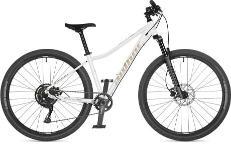 Купить Author Solution ASL 27,5 2026  в Санкт-Петербурге, доставка по России