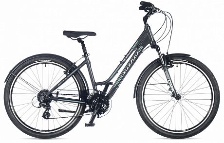 Купить Author Victoria 2018  в Санкт-Петербурге, доставка по России