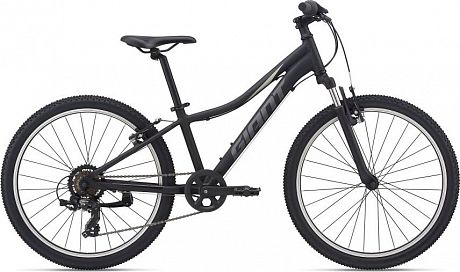 Купить Giant XtC Jr 24 2021  в Санкт-Петербурге, доставка по России