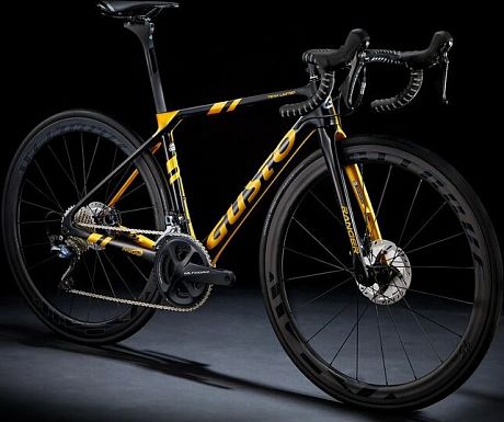 Купить Gusto Ranger Disc Team Limited 2021  в Санкт-Петербурге, доставка по России