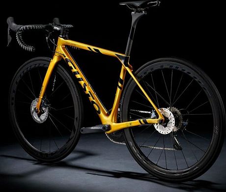 Купить Gusto Ranger Disc Team Limited 2021  в Санкт-Петербурге, доставка по России