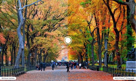 Фото Очки солнцезащитные Oakley Frogskins Matte Grey Smoke/Prizm Ruby Polarized. Купить Очки солнцезащитные Oakley Frogskins Matte Grey Smoke/Prizm Ruby Polarized  в Санкт-Петербурге, доставка по России