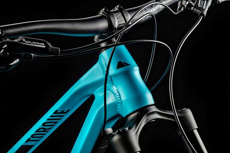 Купить CANYON Torque AL 7.0  в Санкт-Петербурге, доставка по России