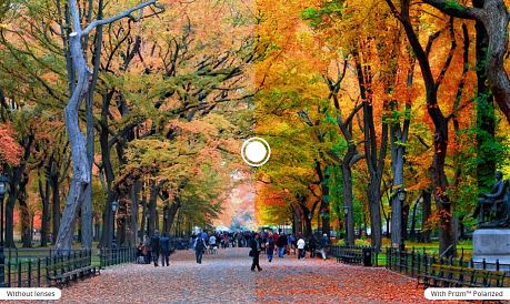 Фото Очки солнцезащитные Oakley Frogskins Mix Splatter Vampirella/Prizm Rose Gold. Купить Очки солнцезащитные Oakley Frogskins Mix Splatter Vampirella/Prizm Rose Gold  в Санкт-Петербурге, доставка по России