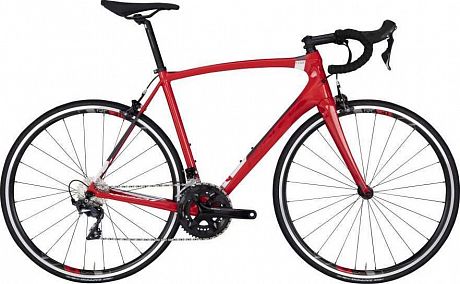 Купить Ridley Fenix C 2020 Shimano Ultegra ML  в Санкт-Петербурге, доставка по России