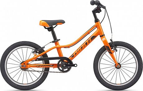 Купить Giant ARX 16 F/W 2021  в Санкт-Петербурге, доставка по России