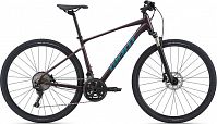 Giant Roam 0 Disc 2021
