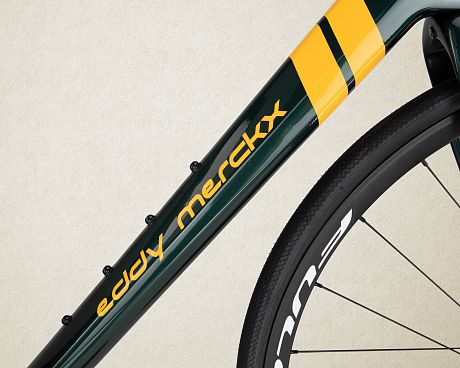 Купить Eddy Merckx Wallers73 Disc 2020 Shimano Ultegra  в Санкт-Петербурге, доставка по России