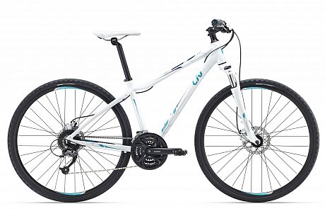 Купить Giant Rove 2 Disc DD 2016  в Санкт-Петербурге, доставка по России